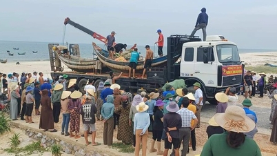 Quang Binh farmers make lemongrass floss and bring bamboo boats to support people in the northern flood-hit areas.