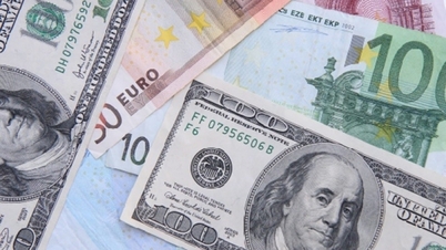 米ドルは3.6%上昇、国内市場では新たな変動はなかった