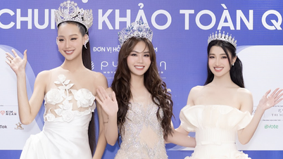 បេក្ខនារី ៥៩ នាក់​បាន​ឈាន​ចូល​ដល់​វគ្គ​ផ្ដាច់ព្រ័ត្រ​បវរកញ្ញា​ពិភពលោក​វៀតណាម​ឆ្នាំ ២០២៣