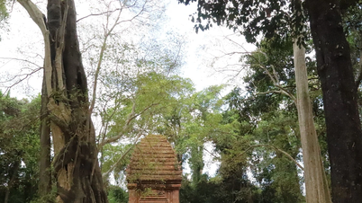 [រូបថត] អគារចាមអាថ៌កំបាំងនៅចំកណ្តាលតំបន់ខ្ពង់រាបកណ្តាល