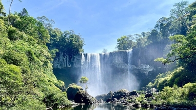ធ្លាប់មានផែនការសម្រាប់កិច្ចសហប្រតិបត្តិការសេដ្ឋកិច្ចវៀតណាម-សូវៀតនៅ Kon Ha Nung | កាសែត Gia Lai អេឡិចត្រូនិក