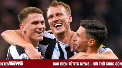 Newcastle trở lại Champions League sau 20 năm