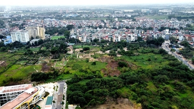 Hà Nội: Hoàng Mai chuẩn bị đấu giá lô đất 44.000m2 với giá khởi điểm 86 triệu đồng/m2