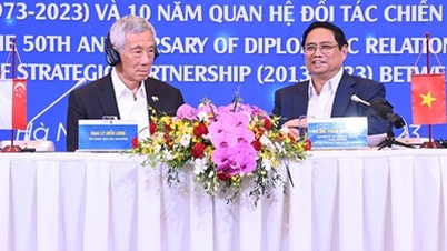 នាយករដ្ឋមន្ត្រី Pham Minh Chinh និងនាយករដ្ឋមន្ត្រី Lee Hsien Loong មានកិច្ចសន្ទនាជាមួយថ្នាក់ដឹកនាំវ័យក្មេងនៃប្រទេសវៀតណាម និងសិង្ហបុរី។