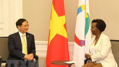 អង្គការអន្តរជាតិ La Francophonie និងវៀតណាមជំរុញការបណ្តុះបណ្តាលភាសាបារាំង
