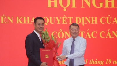 El director general de la Televisión de Vietnam se convierte en secretario del Comité Provincial del Partido en Quang Binh