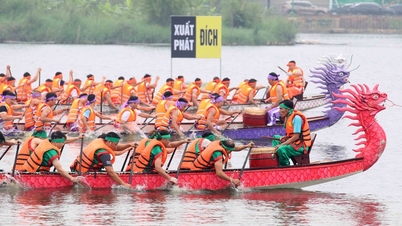 Phu Tho : Course d'aviron passionnante sur le lac du parc Van Lang