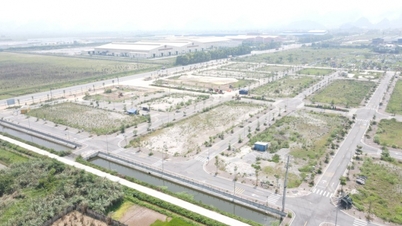 Tổ chức đấu giá quyền sử dụng đất phải đảm bảo công khai, minh bạch, đúng trình tự