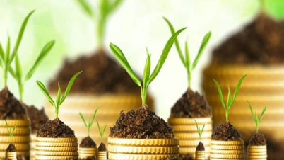 40 businesses finalize dividend payments, week from June 17 to 21