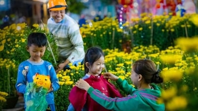 Tết Dương lịch 2024, người lao động được nghỉ liên tiếp mấy ngày?