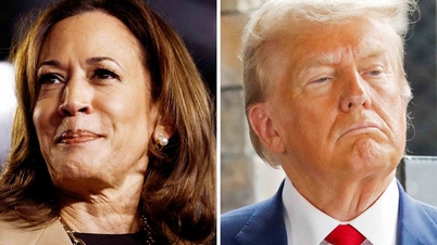 Контраст Трампа и Харрис в конце гонки за Белый дом