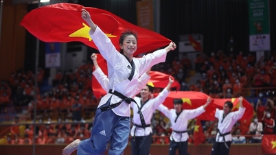 ស្នាដៃ “ហោះហើរទៅវៀតណាម” ទទួលបានជ័យលាភីលេខ១ ក្នុងការប្រកួតរូបថត និងវីដេអូ “រីករាយវៀតណាម - Happy Vietnam”