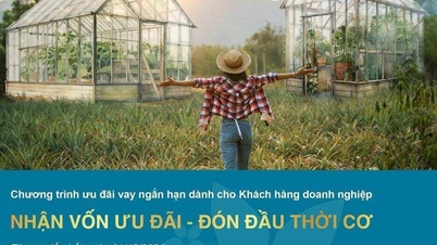 ធនាគារ Bac A ផ្តល់អត្រាការប្រាក់អនុគ្រោះសម្រាប់កម្ចីអាជីវកម្មរយៈពេលខ្លី