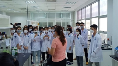 Nơi ươm mầm cho những ý tưởng đột phá