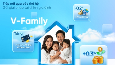 V-Family - financial solution package for Vietnamese families