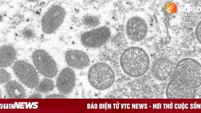 Thái Lan ghi nhận ca tử vong đầu tiên do đậu mùa khỉ