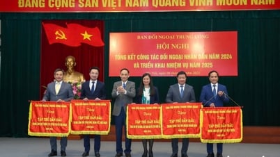 សមាគមអ្នកកាសែតវៀតណាមទទួលបានទង់ត្រាត្រាសម្រាប់សមូហភាពនាំមុខគេក្នុងកិច្ចការបរទេសរបស់ប្រជាជន