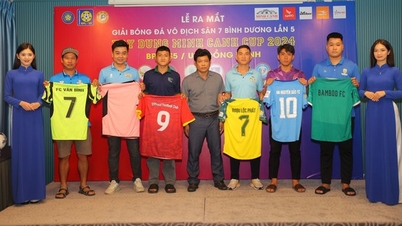 Many professional players will appear in Binh Duong 7-a-side tournament