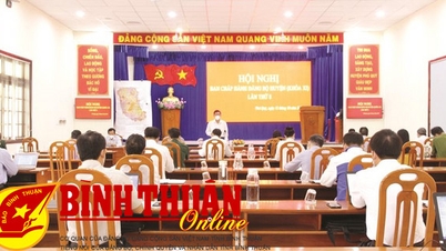 Hiệu quả qua 3 năm thực hiện Kết luận số 01