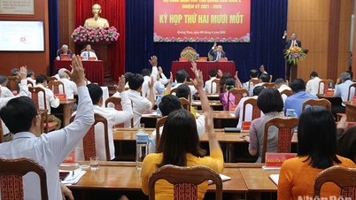 Miễn nhiệm chức danh Chủ tịch Hội đồng nhân dân và Ủy ban nhân dân tỉnh Quảng Nam