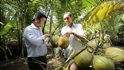 ផ្លូវ​ហាយវ៉េ​បាន​បើក​ហើយ តើ​ត្រូវ​ធ្វើ​ដូចម្តេច​ដើម្បី​បញ្ចៀស​ការ​រារាំង?