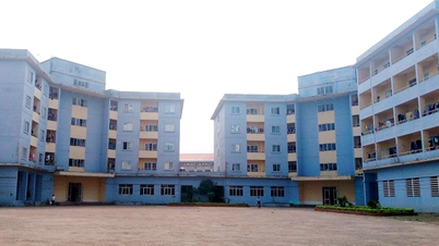 Thực hiện 1 nhiệm vụ trung tâm, 3 quan tâm và 5 đẩy mạnh