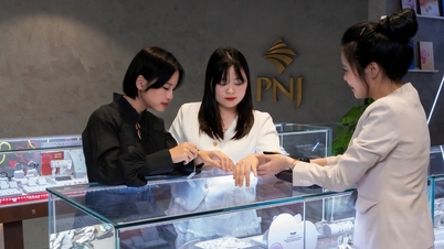 PNJ ghi nhận doanh thu hơn 24.000 tỷ đồng sau 7 tháng