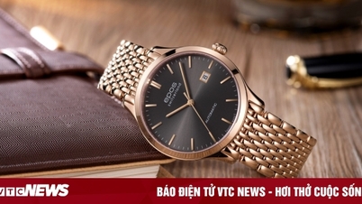 11/11 Ngày độc thân - Sale độc nhất