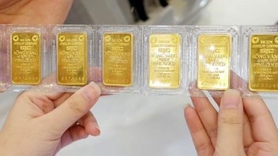 سعر الذهب يرتفع إلى 2000 دولار، الدولار الأمريكي يصل إلى أدنى مستوياته، هل يتبع ذهب SJC الاتجاه العالمي؟