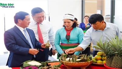 រដ្ឋមន្ត្រី ប្រធានគណៈកម្មាធិការជនជាតិ Hau A Lenh ចូលរួមមហាសន្និបាតជនជាតិភាគតិចលើកទី ៤ នៅខេត្ត Ninh Binh ឆ្នាំ ២០២៤