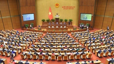 国会は5月2日、人事に関する臨時会議を開いた。