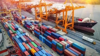 Tỷ trọng hàng hoá Việt Nam ở các thị trường lớn có chiều hướng tăng