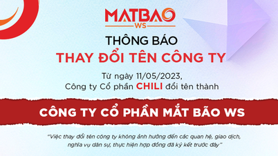 ក្រុមហ៊ុន CHILI បានប្តូរឈ្មោះទៅជា Mat Bao WS បន្ទាប់ពីប្រតិបត្តិការរយៈពេល 11 ឆ្នាំ។