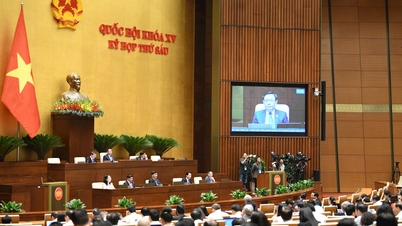 Đại biểu Quốc hội mong muốn Luật Đất đai (sửa đổi) sớm được thông qua để đáp ứng được yêu cầu rất cấp thiết của thực tiễn