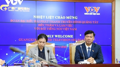 Đài Tiếng nói Việt Nam và Đài PTTH Quảng Tây (Trung Quốc) thúc đẩy hợp tác trên nền tảng số