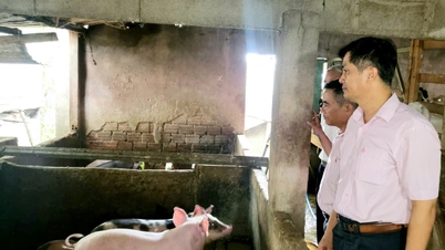 Đà Nẵng: Cụ thể hóa Chỉ thị số 40, tăng tiếp cận vốn ưu đãi cho người dân