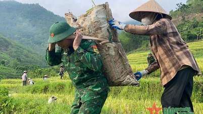 Niềm vui trên cánh đồng Tén Tằn