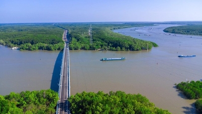 "កំណប់ទ្រព្យ" ស្ថិតនៅក្នុងព្រៃឆ្នេរសមុទ្រមិនទាន់ត្រូវបានភ្ញាក់ដឹងខ្លួននៅឡើយ