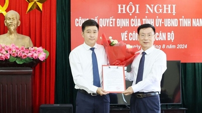 លោក Pham Thanh Binh ត្រូវបានតែងតាំងជាប្រធានមន្ទីរហិរញ្ញវត្ថុខេត្ត Nam Dinh។