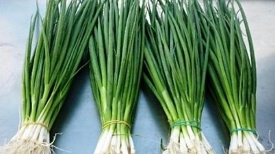 Giới hạn dư lượng hóa chất nông nghiệp với nông sản xuất khẩu được Nhật Bản đề xuất ra sao?