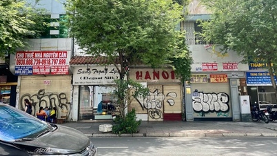 ដោះស្រាយបញ្ហាដី