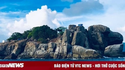 Chia sẻ kinh nghiệm đi du lịch Côn Đảo tự túc