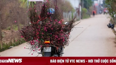 Dự báo thời tiết 10 ngày từ đêm 14/1 đến 23/1 cho Hà Nội và cả nước