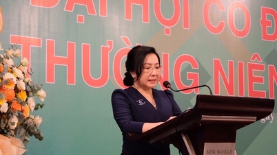 លោកស្រី Nhu Loan ត្រូវបានដោះលែងឱ្យនៅក្រៅឃុំ និងបន្តគាំទ្រ Quoc Cuong Gia Lai។