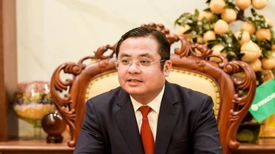 ក្រុមហ៊ុន Vietnam Chemical Group មានប្រធានថ្មី។