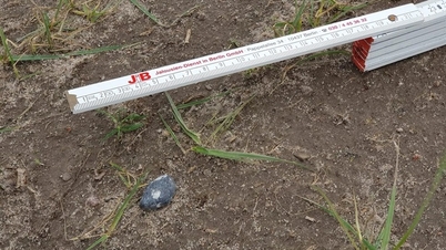 Meteorite fragments found exploding in German sky