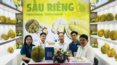 អតិថិជនអន្តរជាតិចាប់អារម្មណ៍លើផលិតផលកសិកម្មវៀតណាមនៅឯពិព័រណ៍នាំចូល និងនាំចេញរបស់ប្រទេសចិន