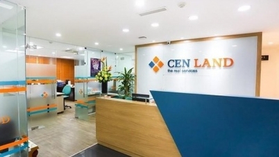 ماذا تقول CenLand عن التأخر في سداد رسوم استخدام الأراضي في مشروع Hoang Van Thu؟