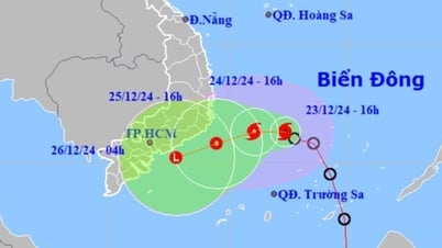 Bão số 10 chuyển hướng, Nam Trung bộ mưa lớn