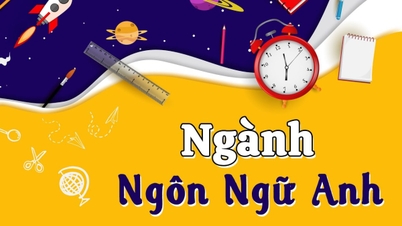 តើខ្ញុំអាចក្លាយជាគ្រូបង្រៀនបានទេ បើខ្ញុំរៀនភាសាអង់គ្លេស?